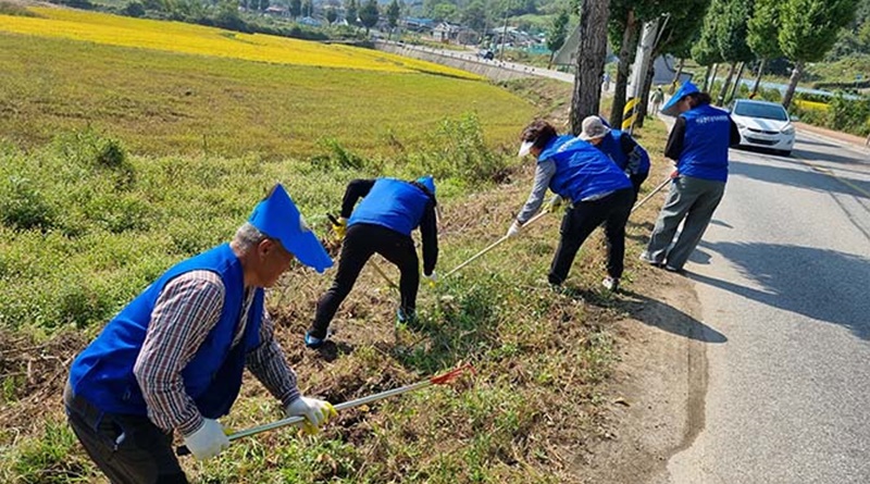 야로면 주민자치위, 꽃피는 고장 만들기 행사