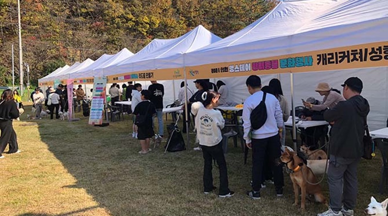 합천 멍스테이, 군의 이색 테마 관광자원으로 육성 전력